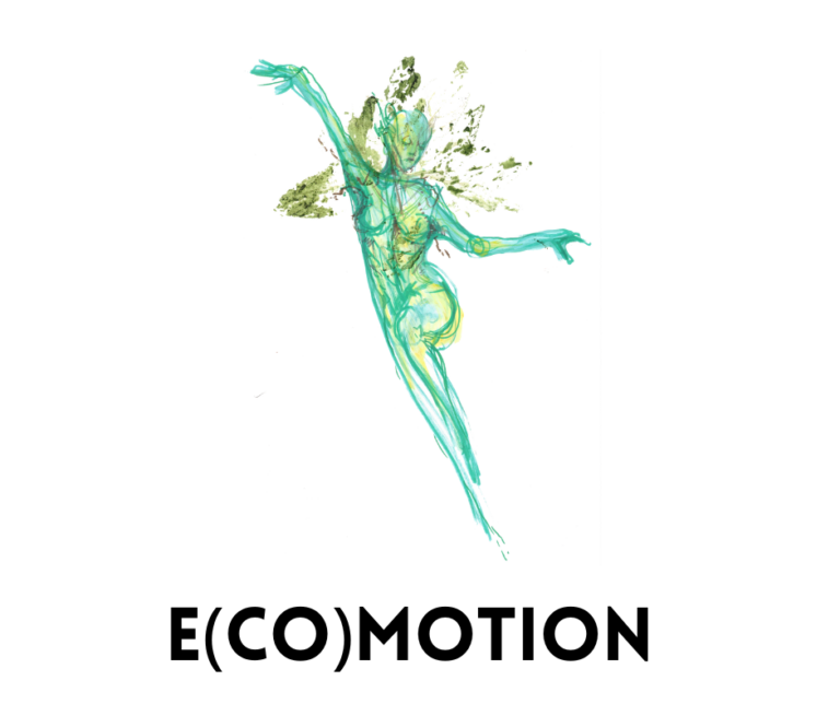 E(co)MOTION – finał projektu